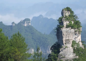 施秉网速测试