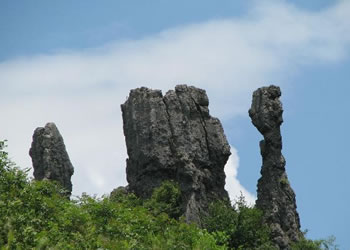 务川网速测试