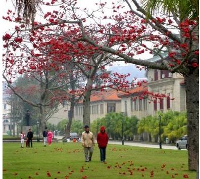 厦门大学天气