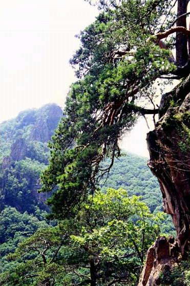 延边和龙仙境台