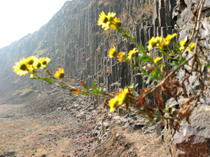 南京桂子山石柱林天气