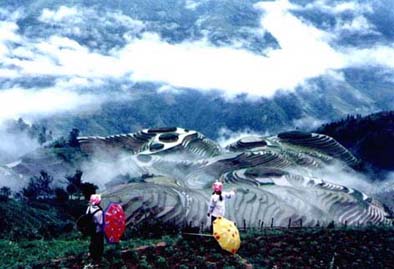 桂林龙胜龙脊梯田天气