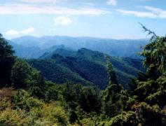 崇左西大明山天气