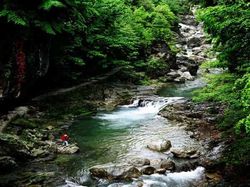 神农架龙门河天气